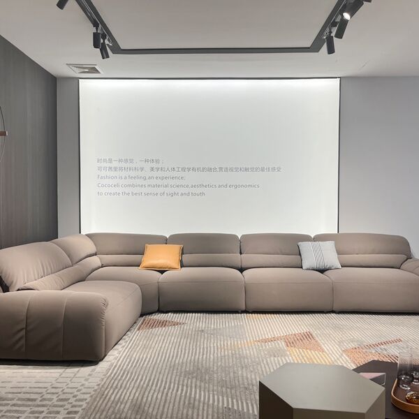 Italy design new fashion Minimalist modern leather sofa with living room included sofa